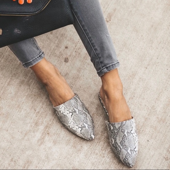 Snakeskin Mules Flats - Never Worn - Picture 1 of 3
